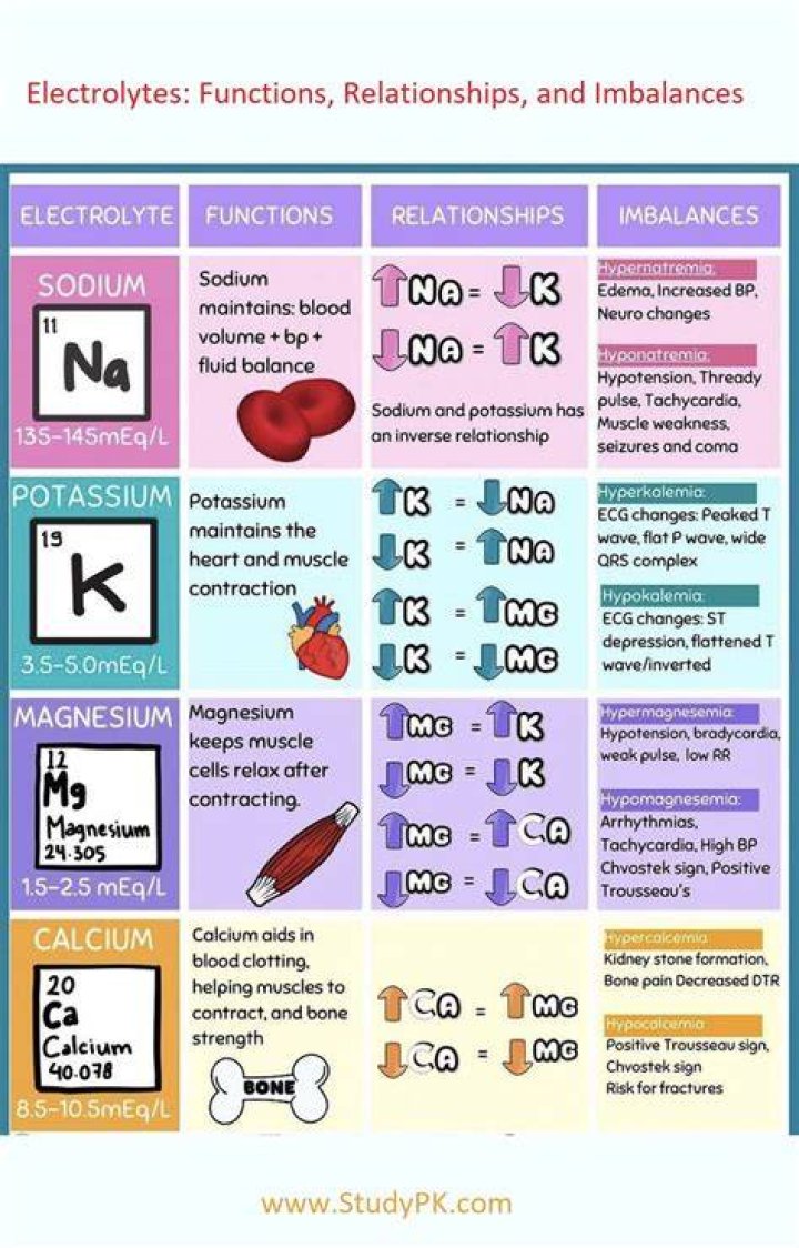 Why are electrolytes physiologically important quizlet?