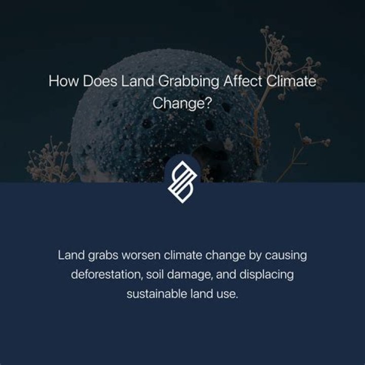 Why does land grabbing happen?