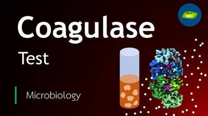 Why is coagulase test performed?