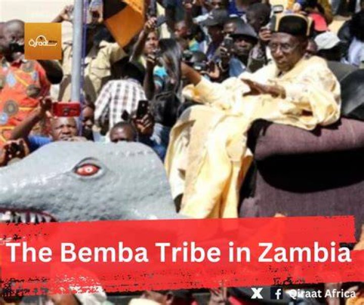 Why the bemba did not keep cattle?