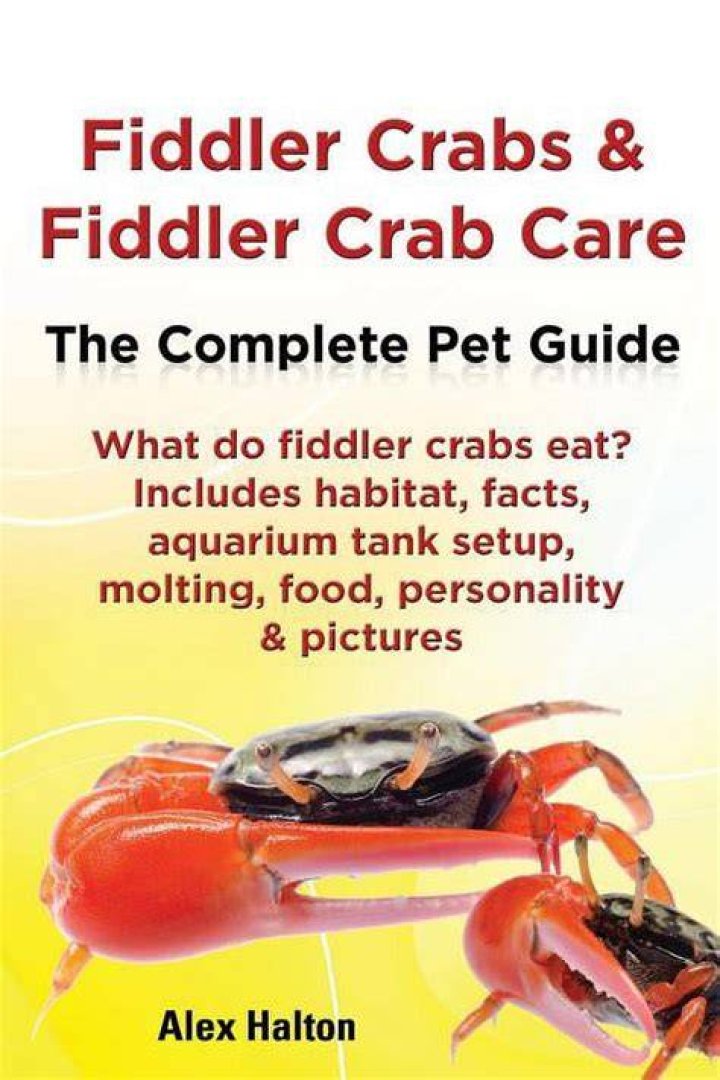 Will fiddler crabs eat snails?