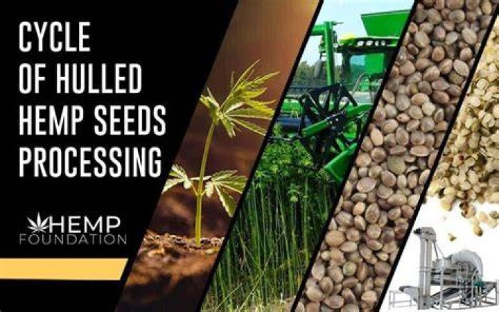 Will hulled hemp seeds grow?