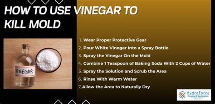 Will vinegar kill a fungus?
